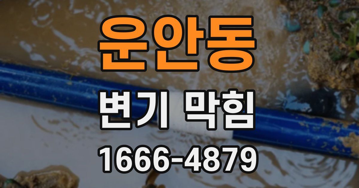 운안동 변기 막힘