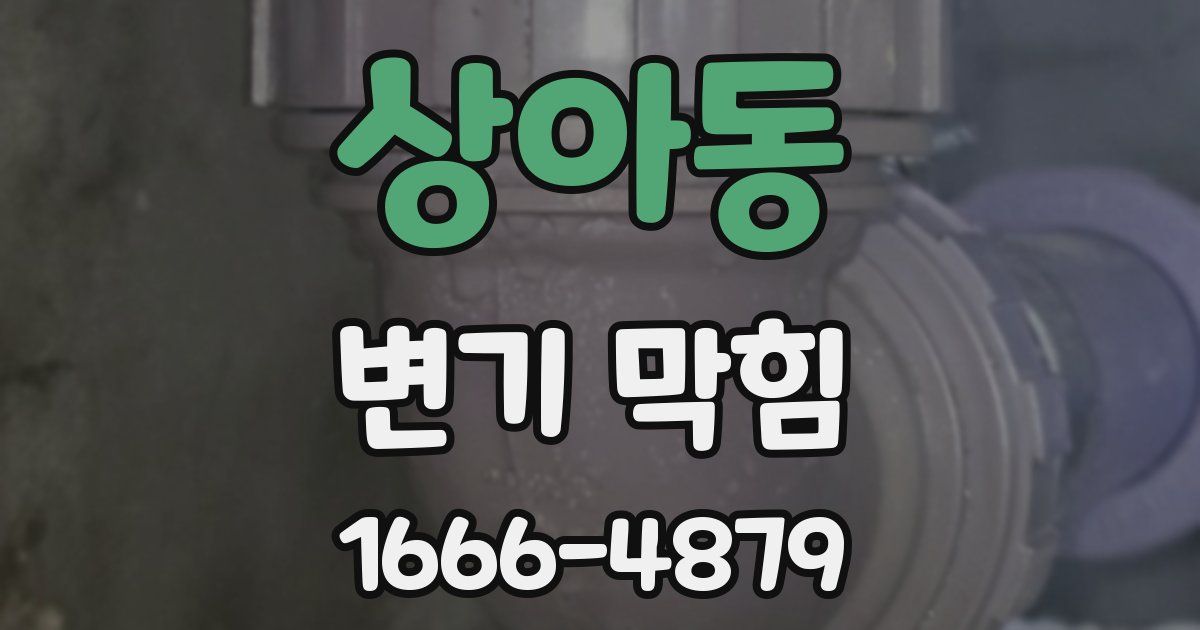 상아동 변기 막힘