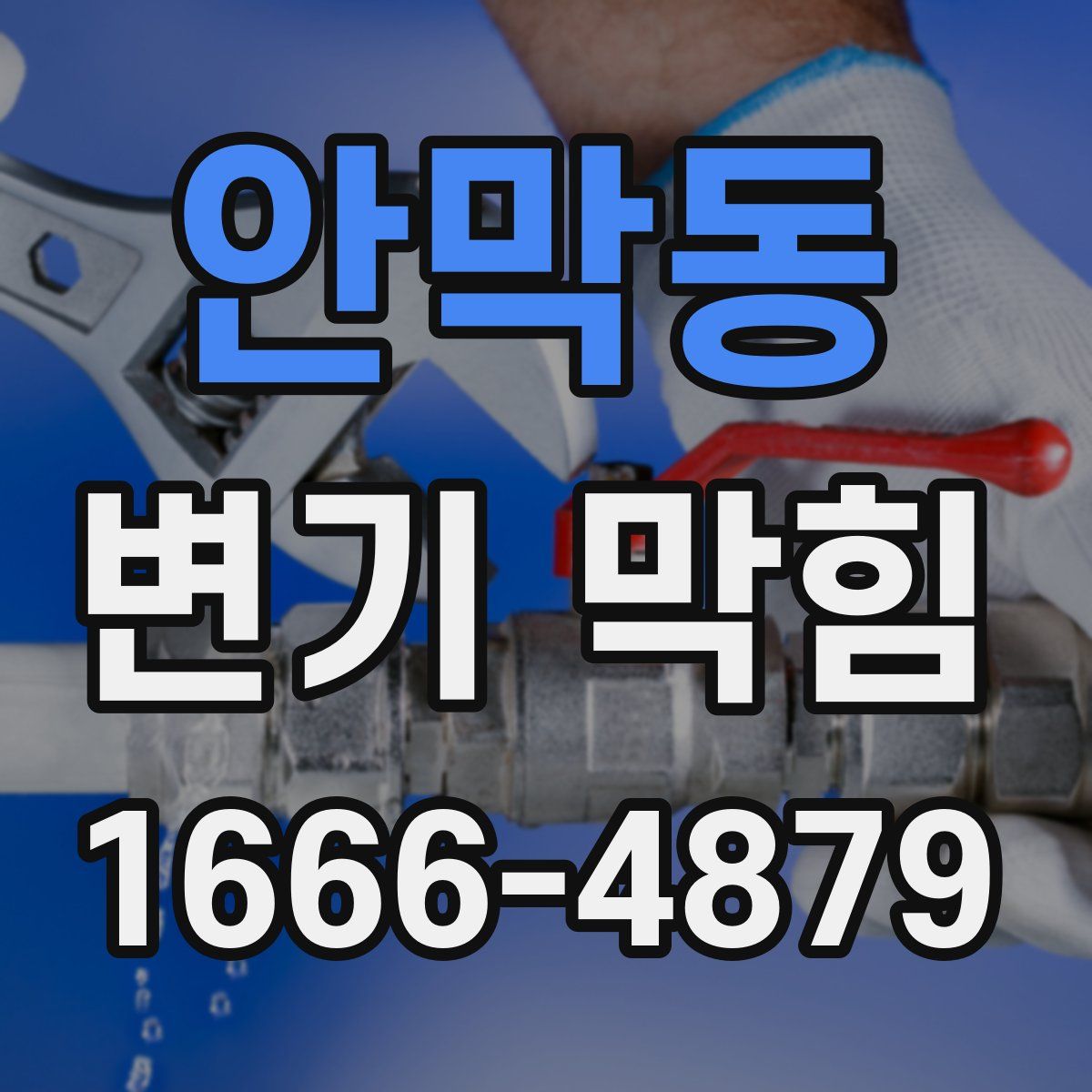안막동 변기 막힘