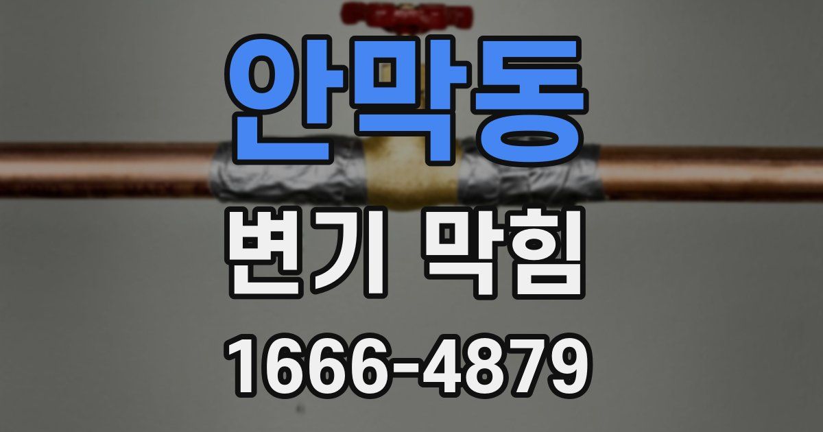 안막동 변기 막힘