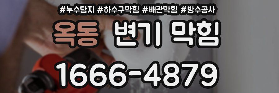 옥동 변기 막힘