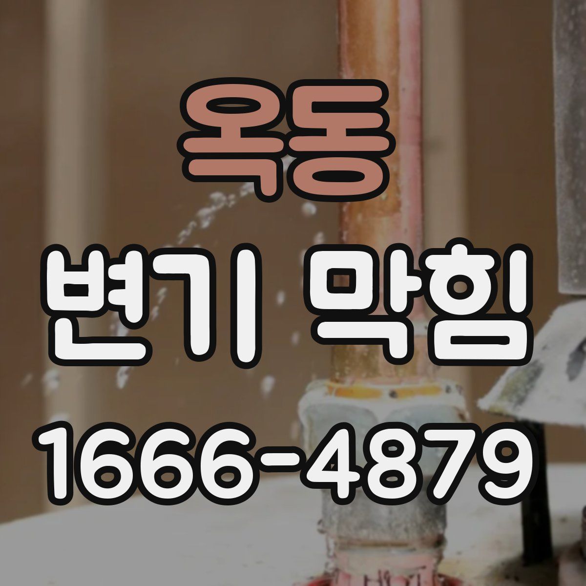 옥동 변기 막힘