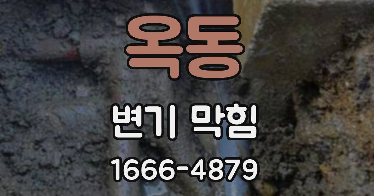옥동 변기 막힘