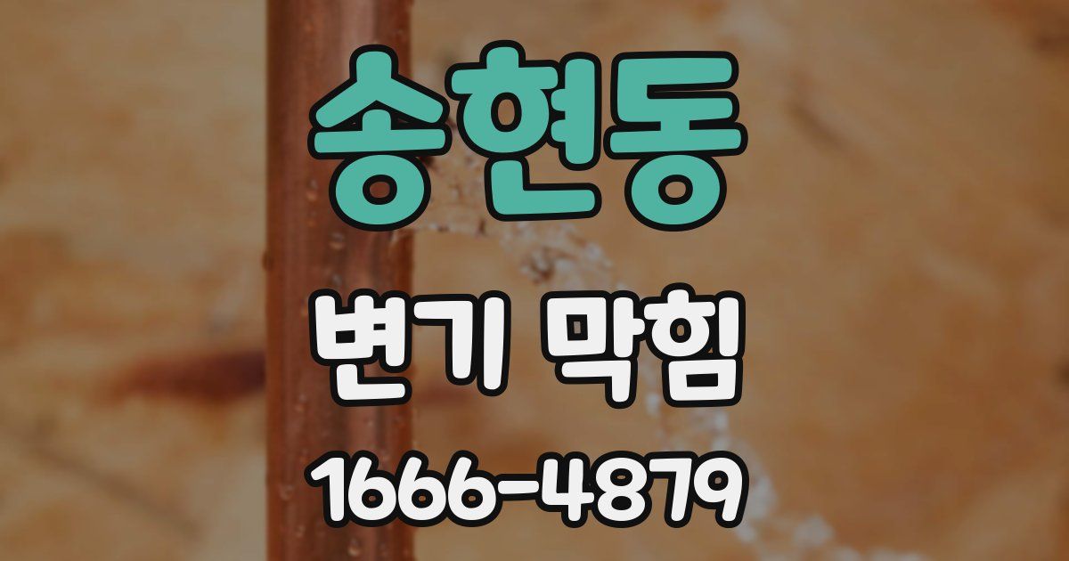 송현동 변기 막힘