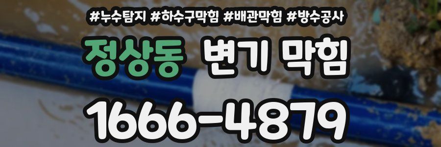 정상동 변기 막힘