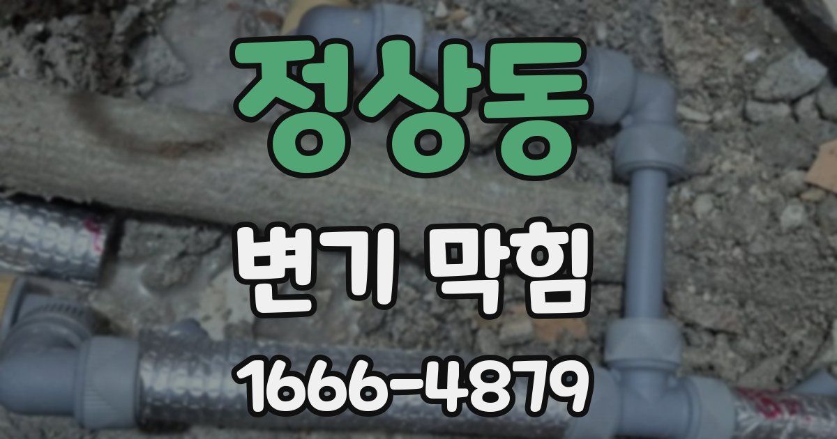 정상동 변기 막힘