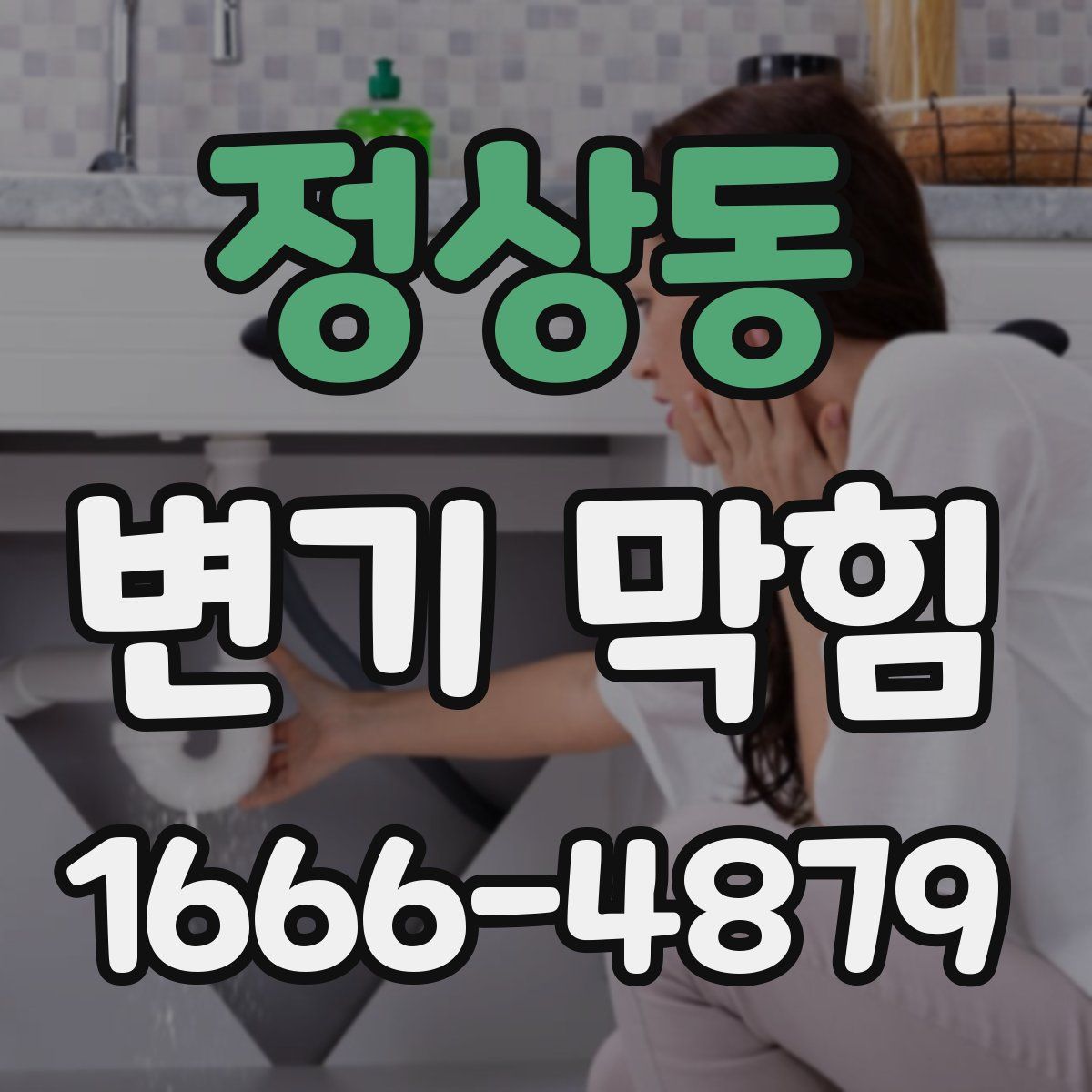 정상동 변기 막힘