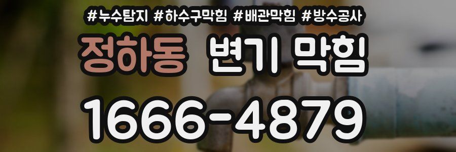 정하동 변기 막힘