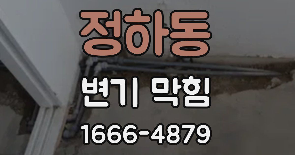 정하동 변기 막힘
