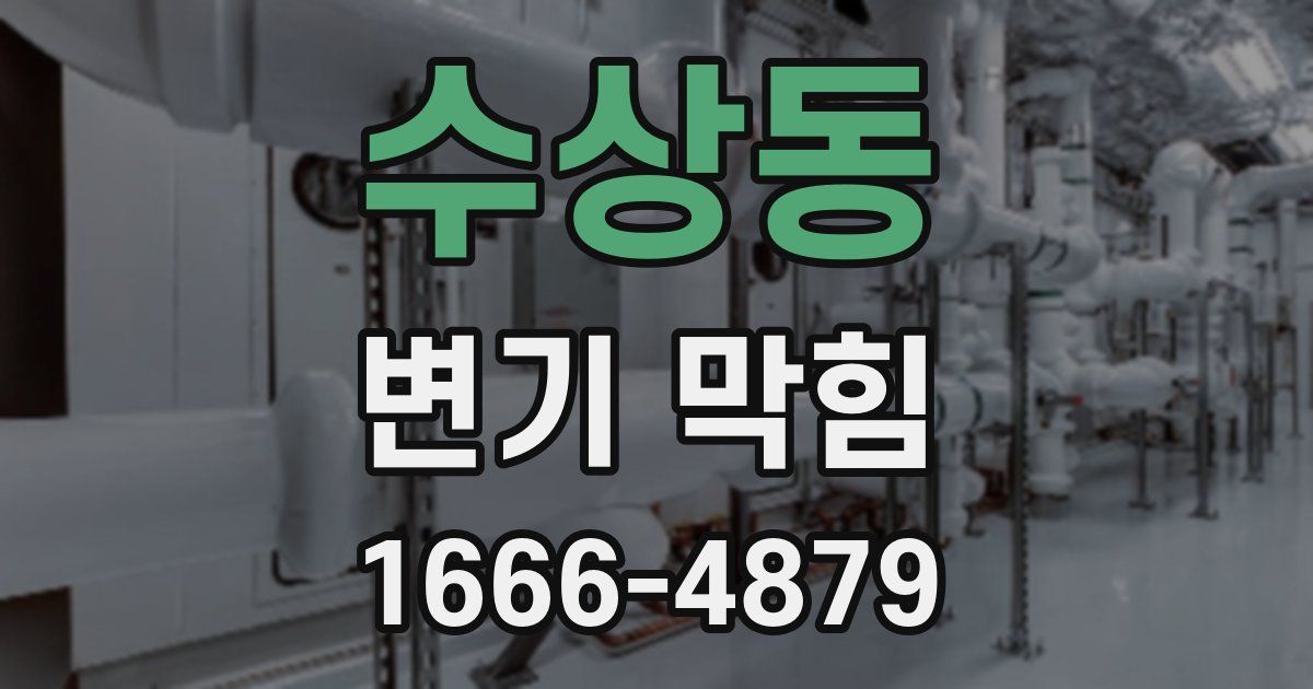 수상동 변기 막힘