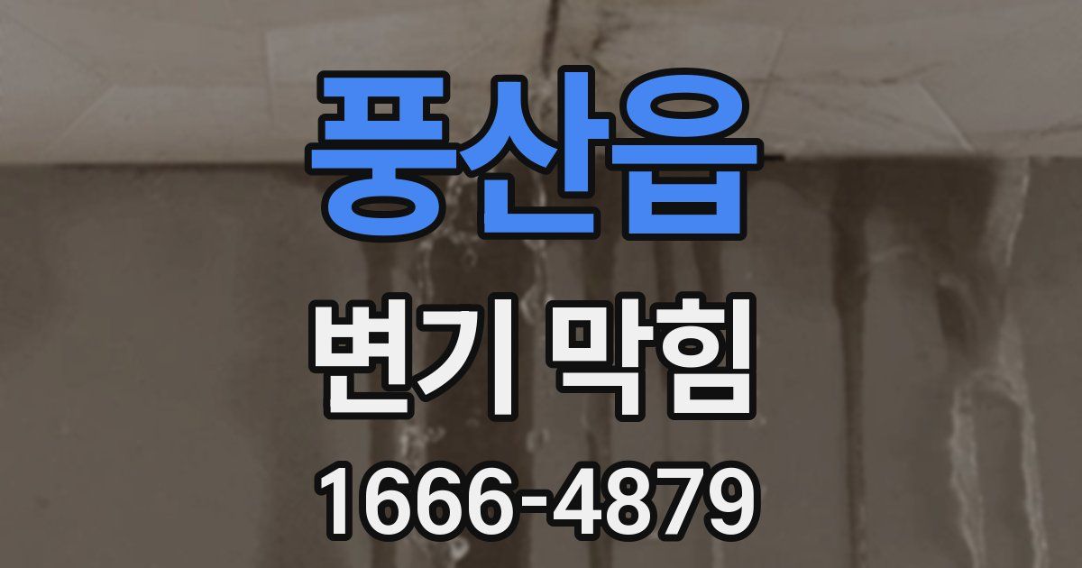 풍산읍 변기 막힘