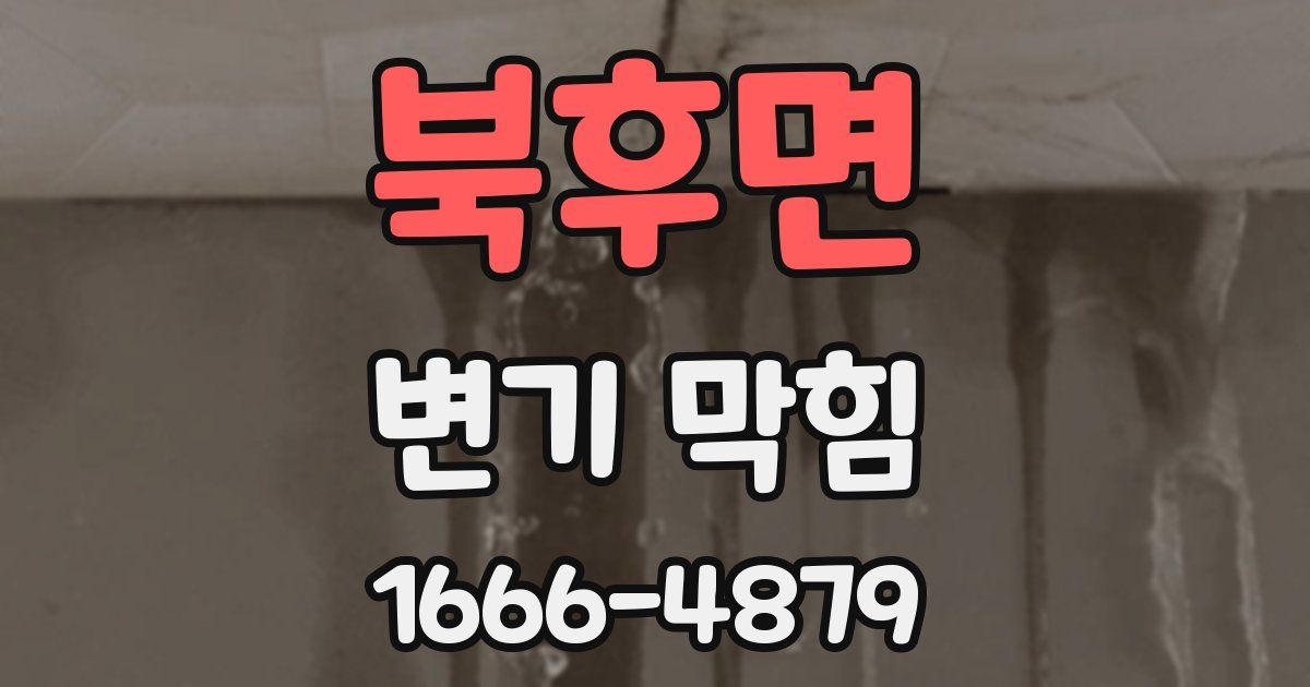 북후면 변기 막힘