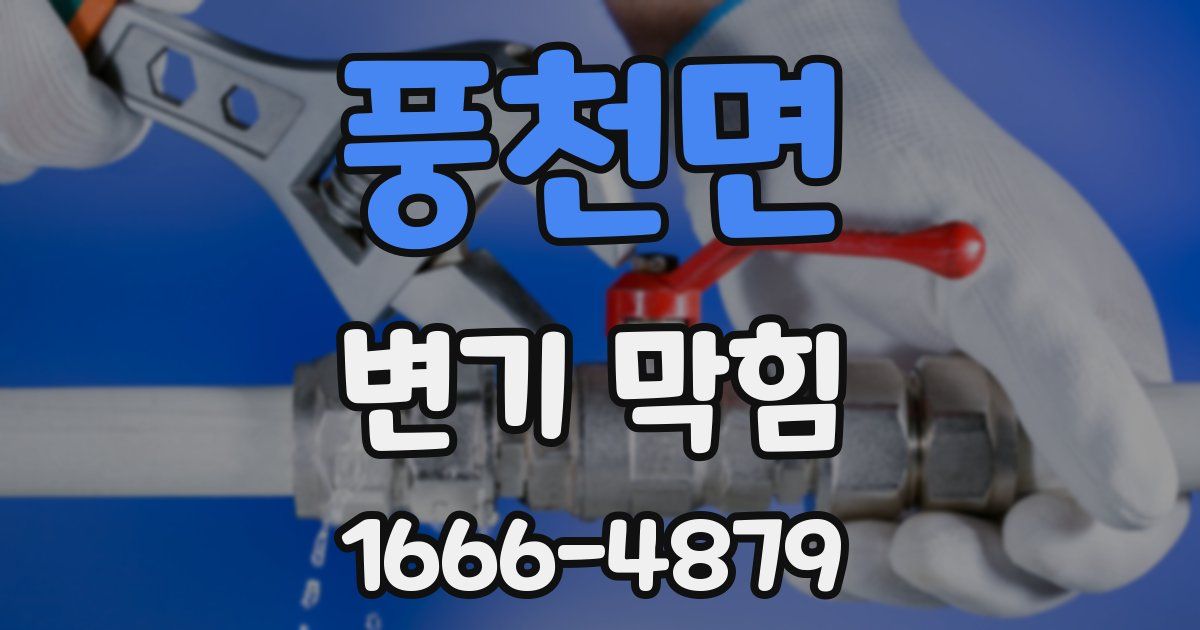 풍천면 변기 막힘