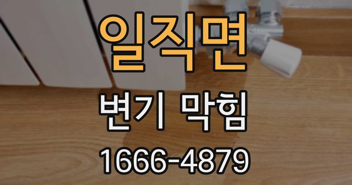 일직면 변기 막힘