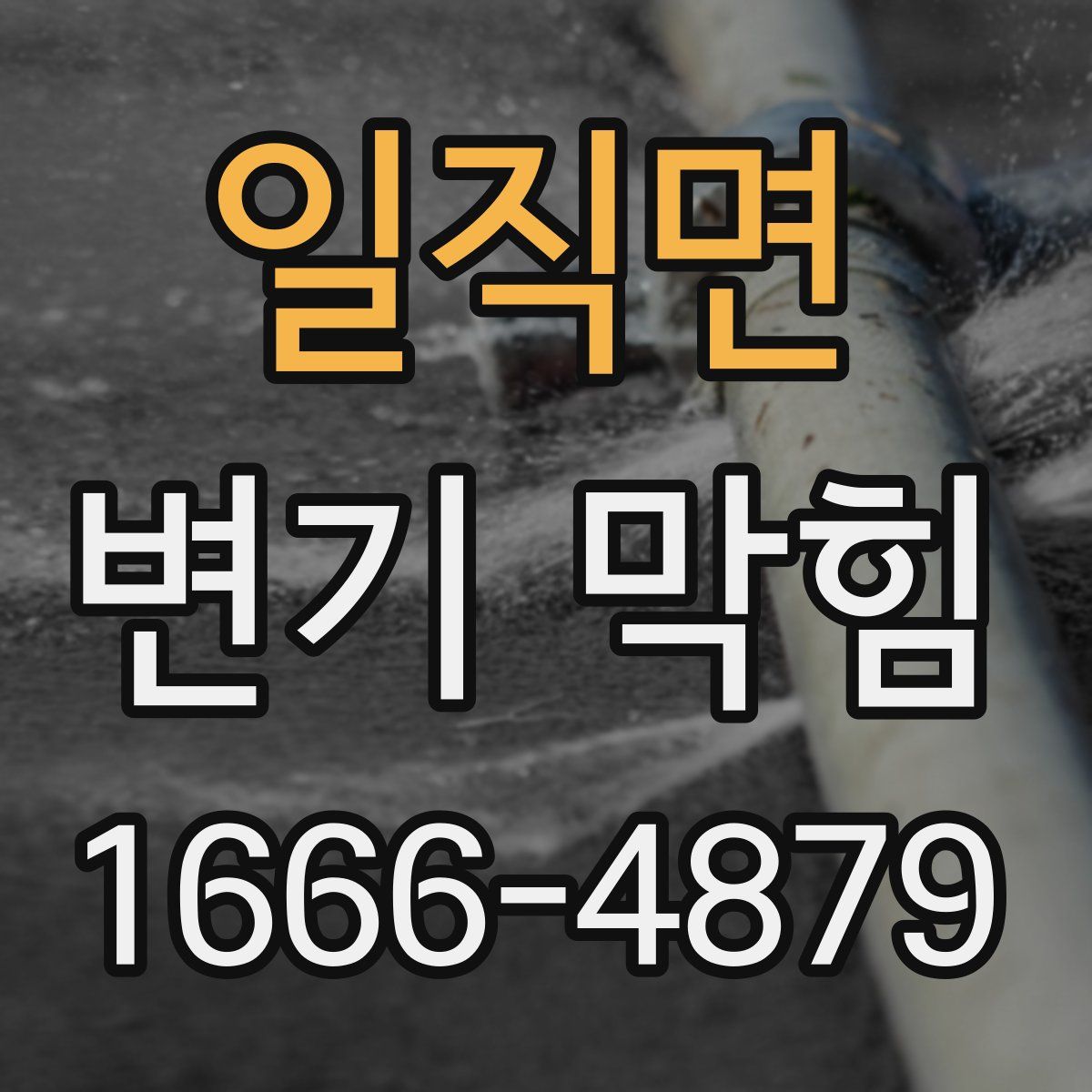 일직면 변기 막힘
