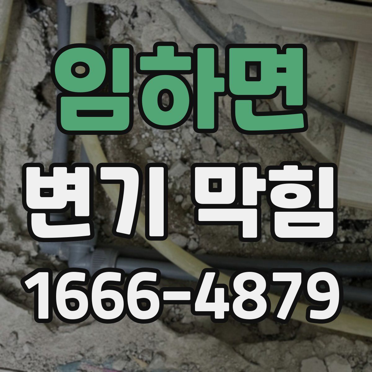 임하면 변기 막힘