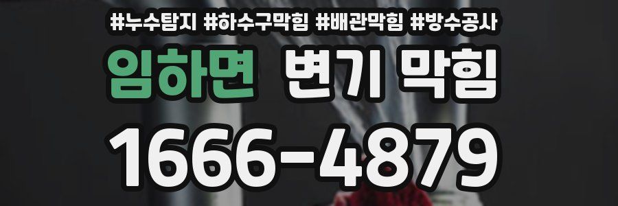 임하면 변기 막힘