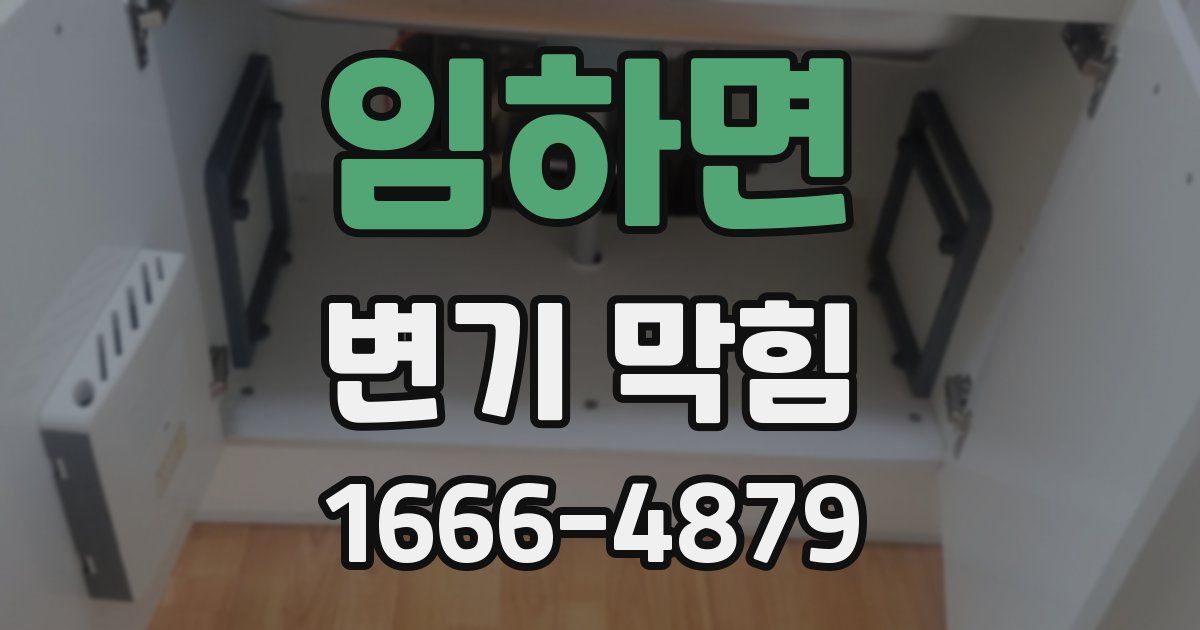 임하면 변기 막힘