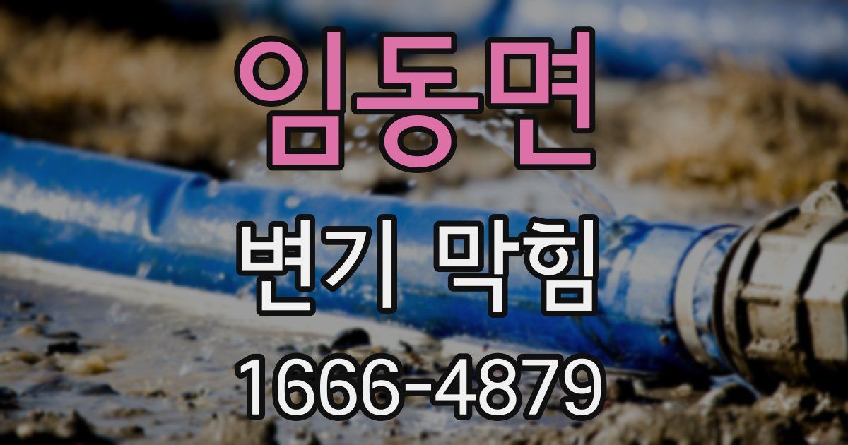 임동면 변기 막힘
