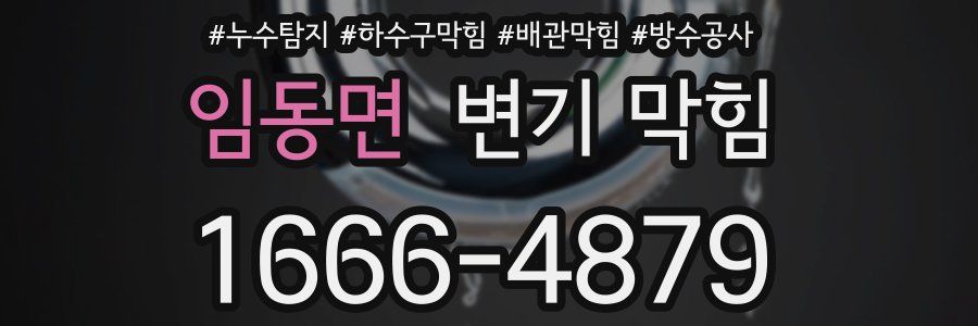 임동면 변기 막힘