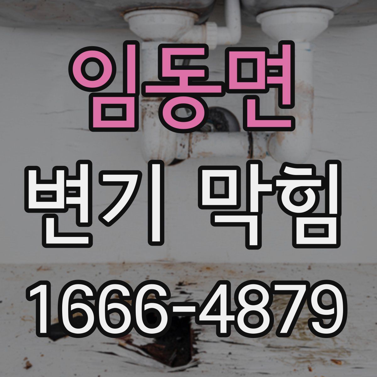 임동면 변기 막힘