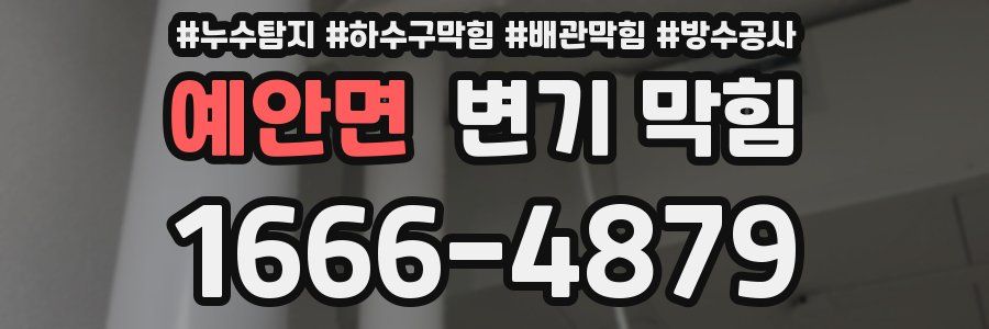 예안면 변기 막힘
