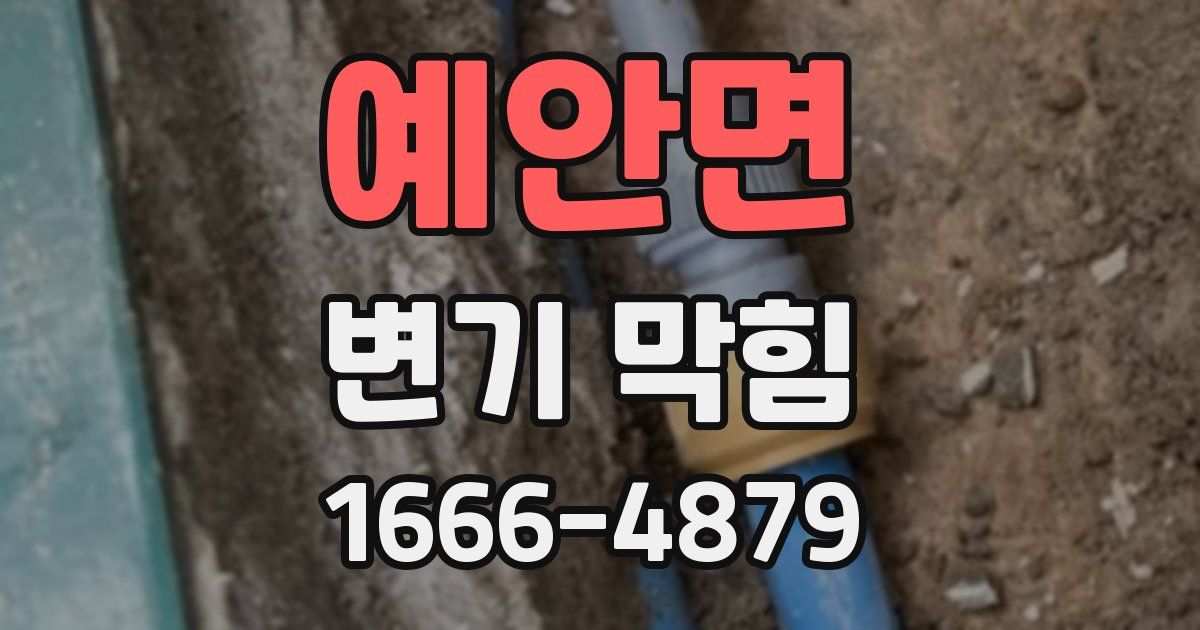 예안면 변기 막힘