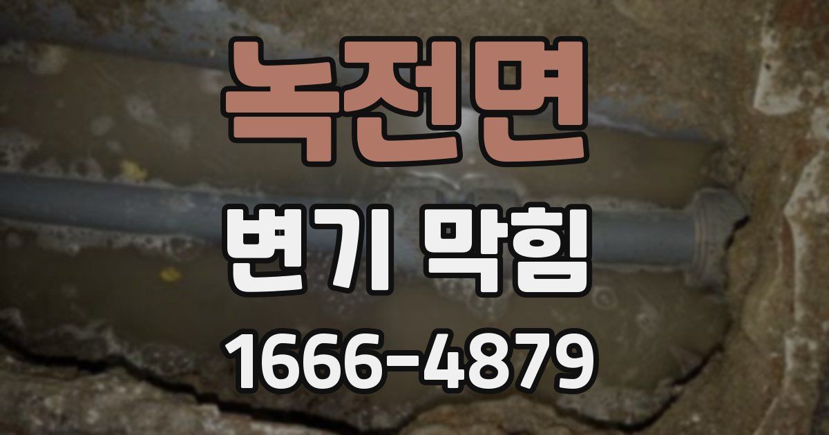 녹전면 변기 막힘