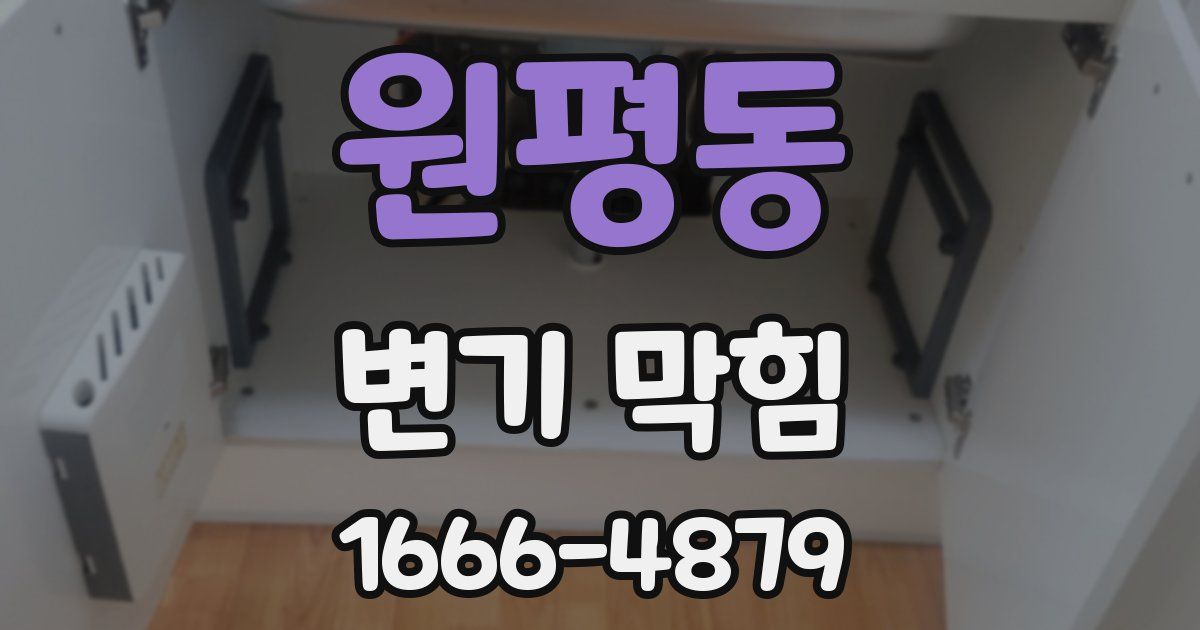 원평동 변기 막힘