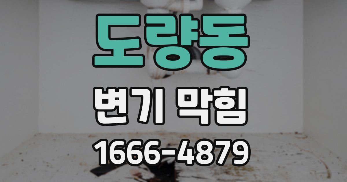 도량동 변기 막힘
