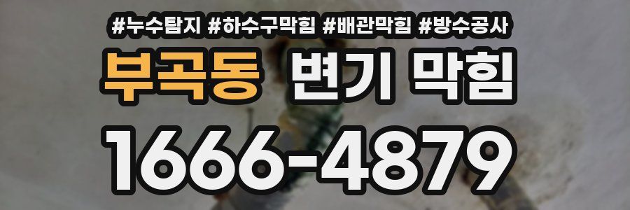 부곡동 변기 막힘