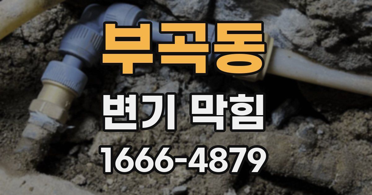 부곡동 변기 막힘