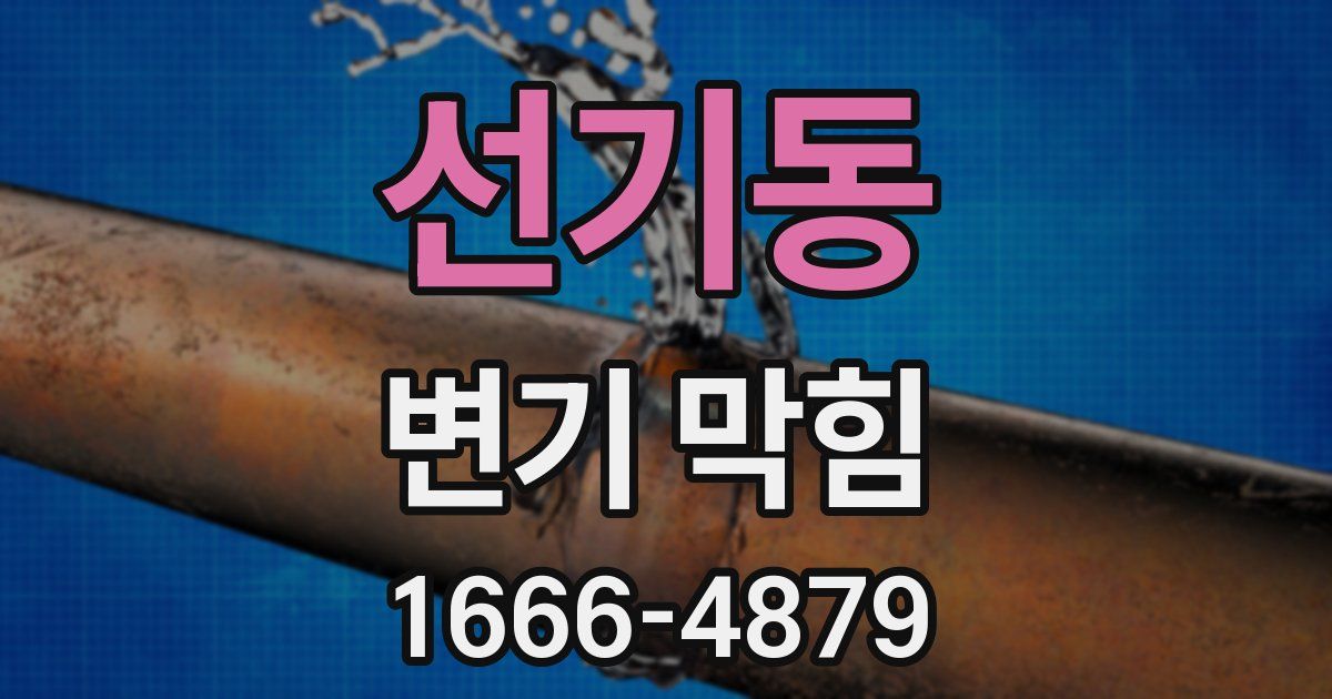 선기동 변기 막힘