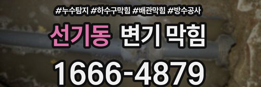 선기동 변기 막힘