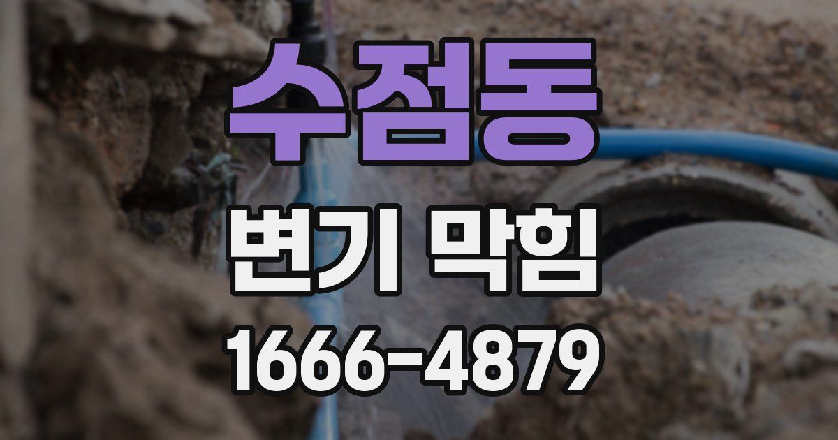 수점동 변기 막힘