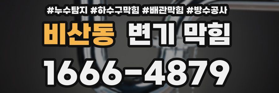 비산동 변기 막힘
