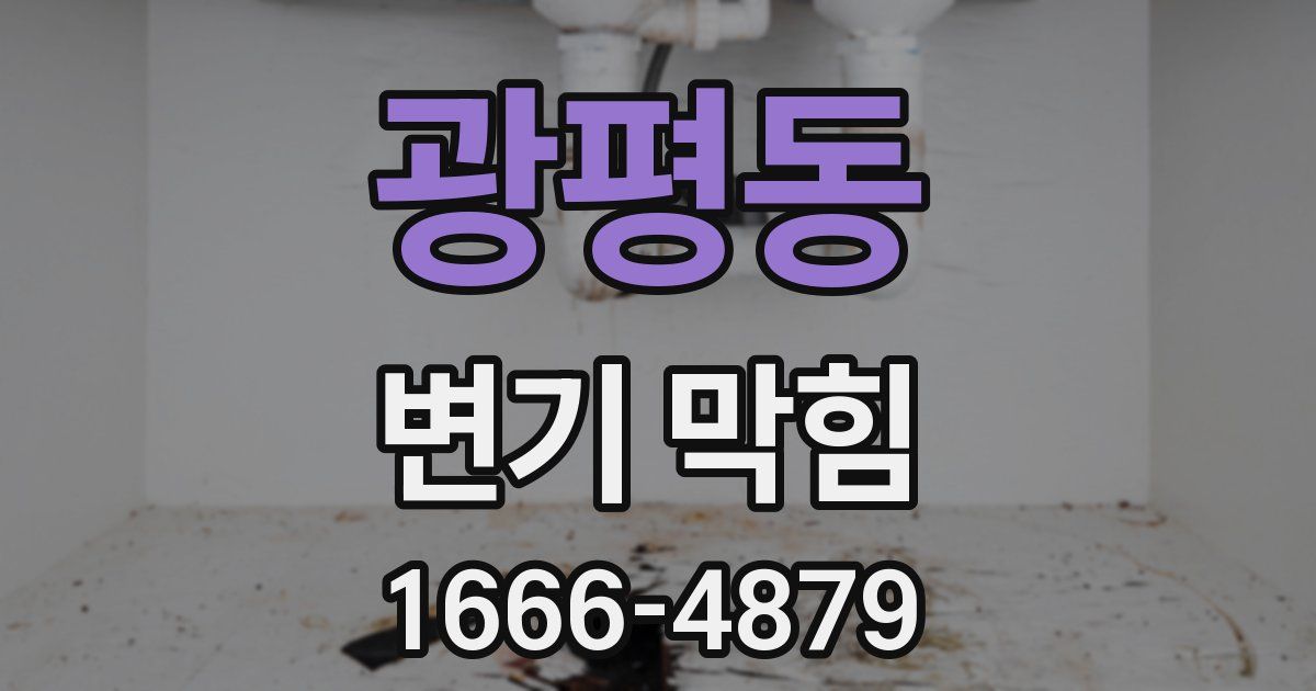 광평동 변기 막힘