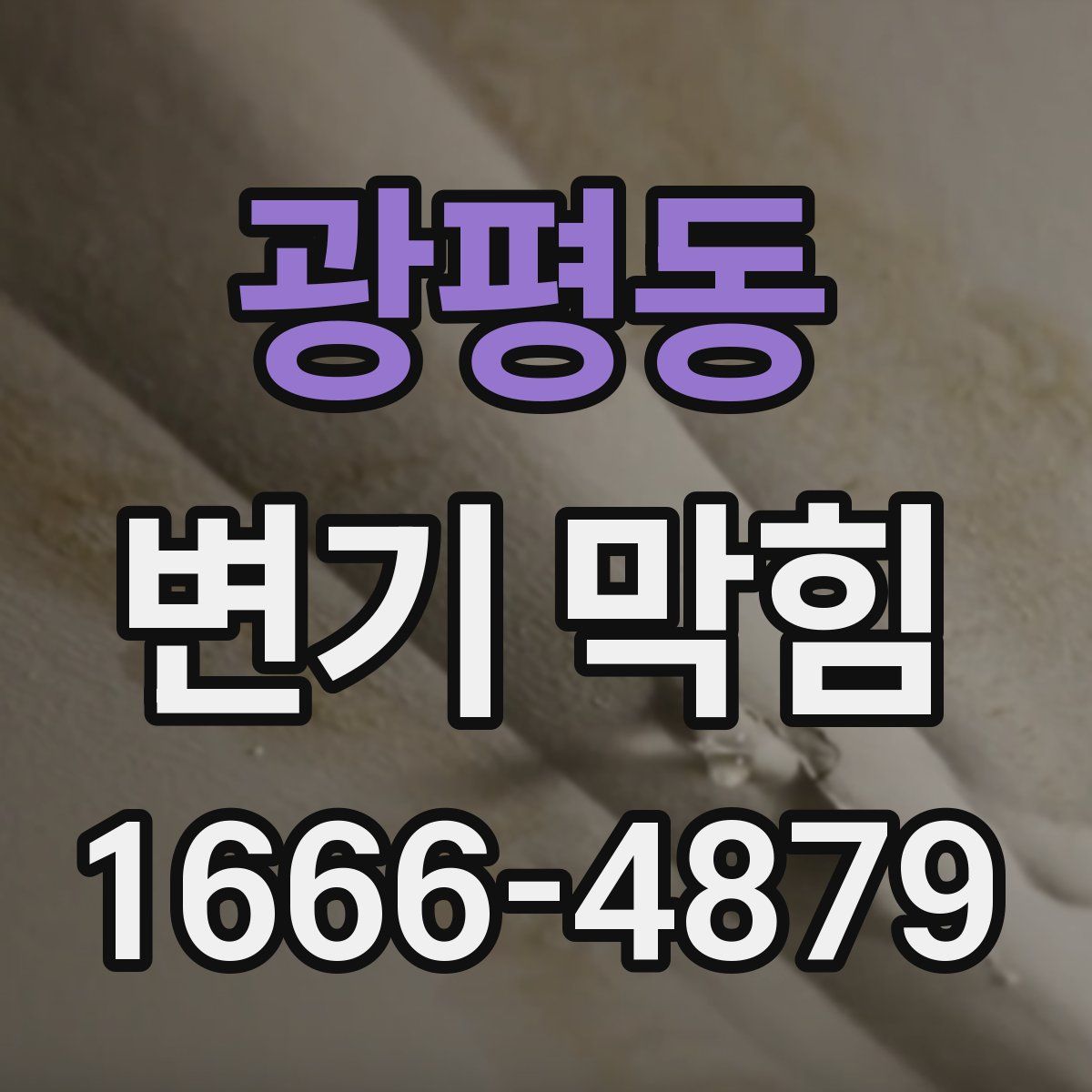광평동 변기 막힘