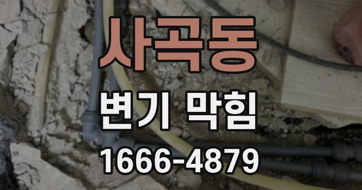 사곡동 변기 막힘
