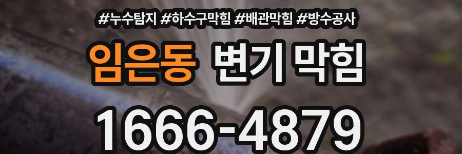 임은동 변기 막힘