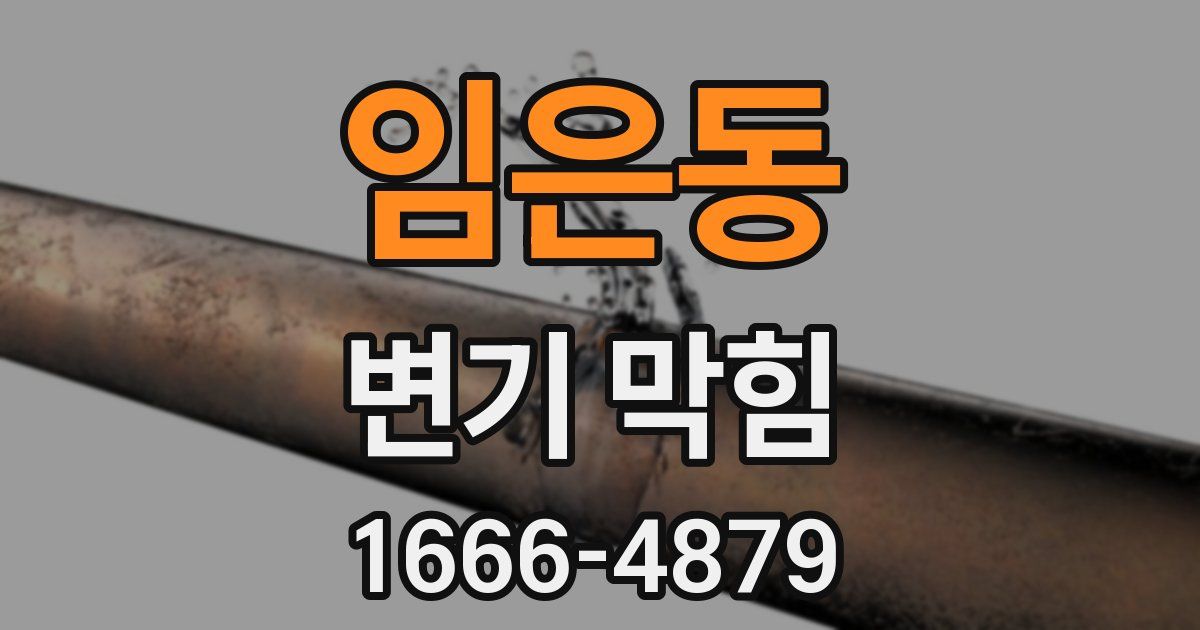 임은동 변기 막힘