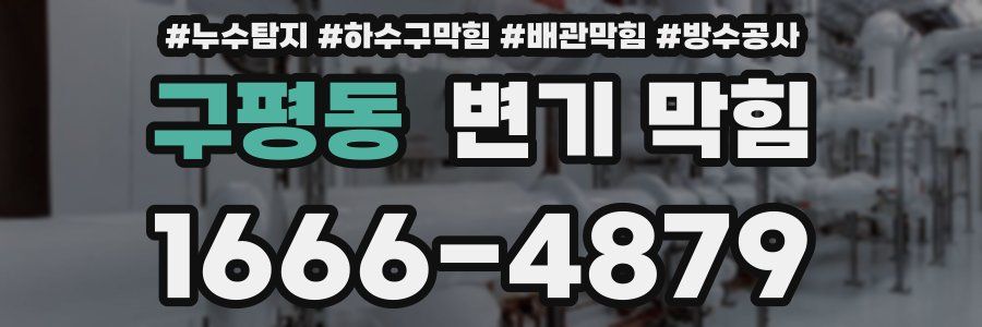 구평동 변기 막힘