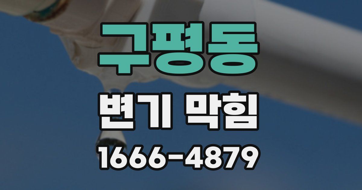 구평동 변기 막힘