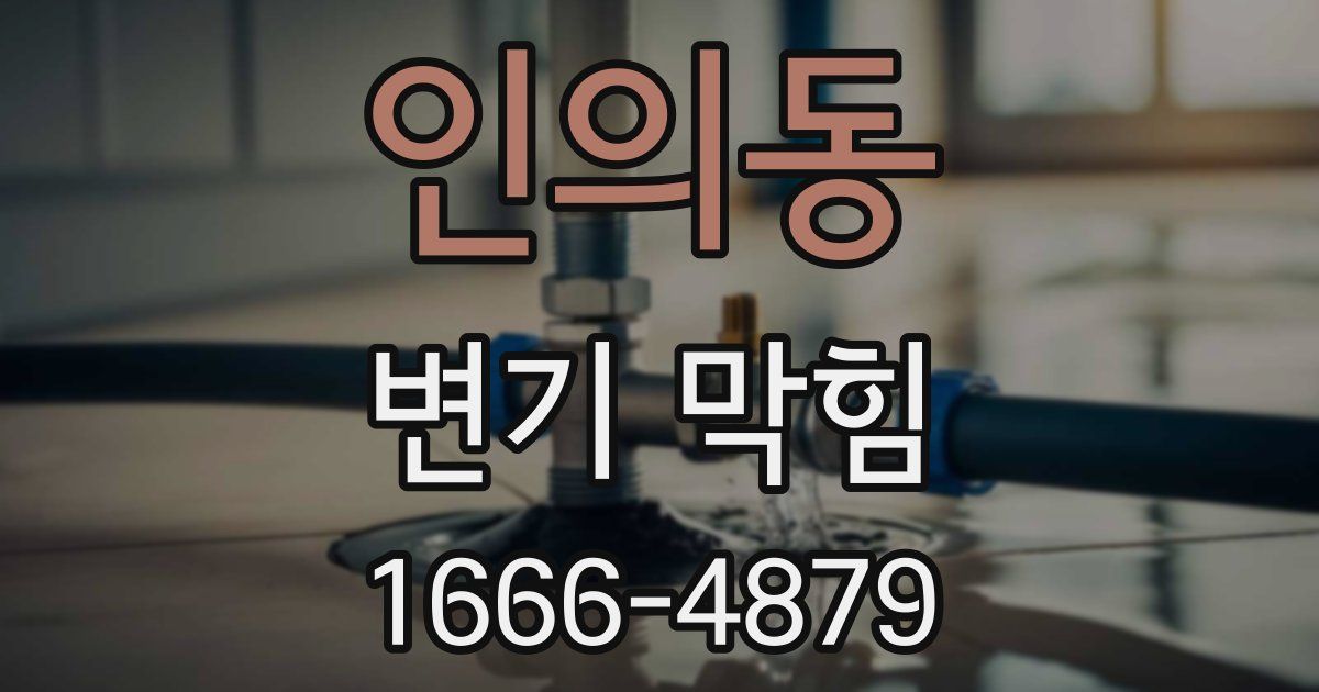 인의동 변기 막힘