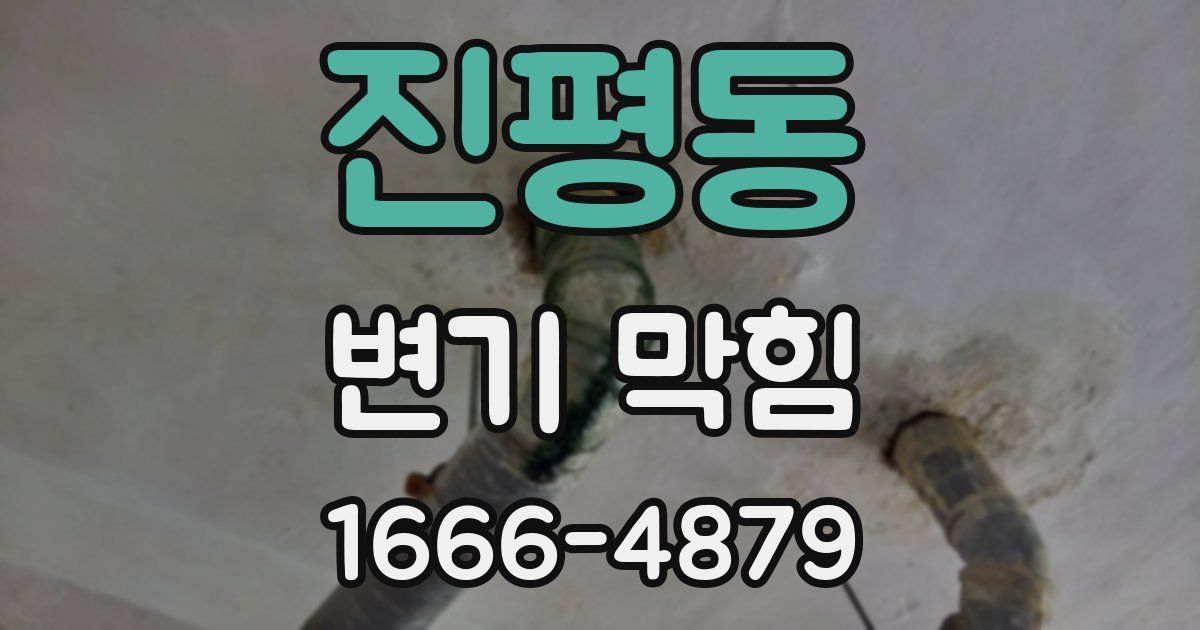 진평동 변기 막힘