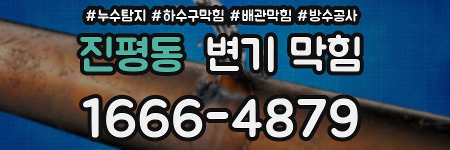 진평동 변기 막힘