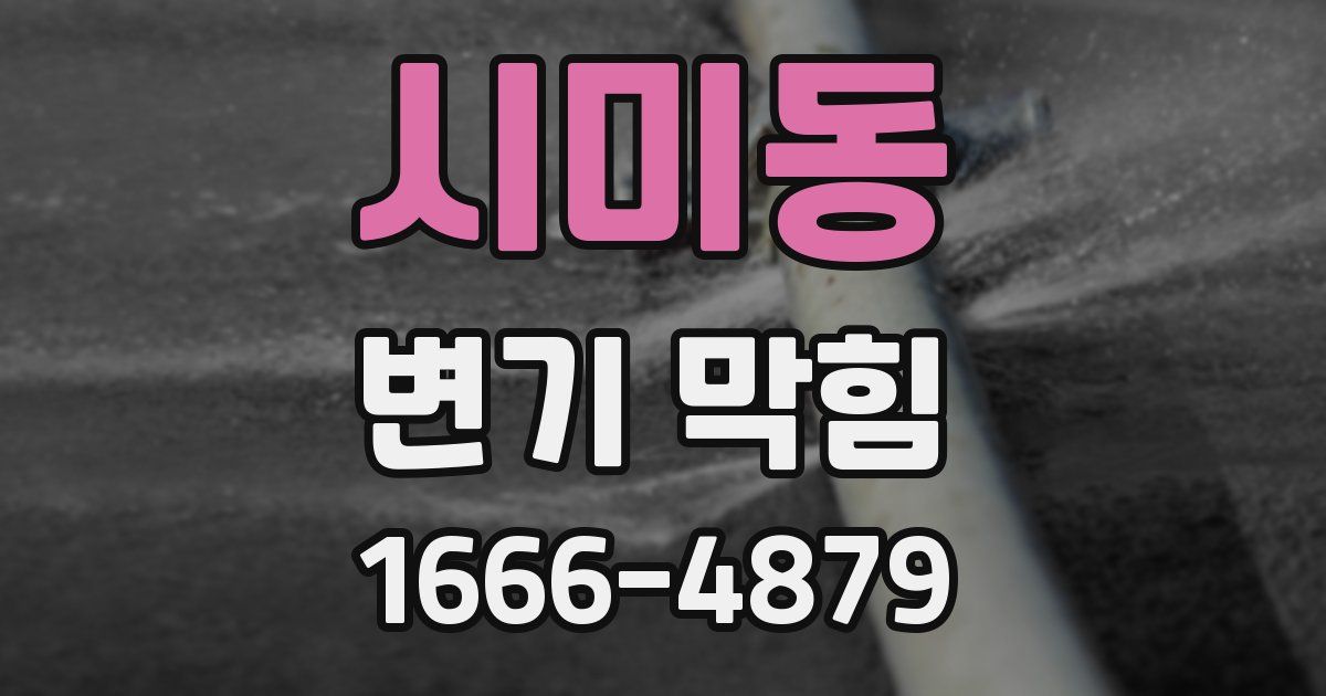 시미동 변기 막힘