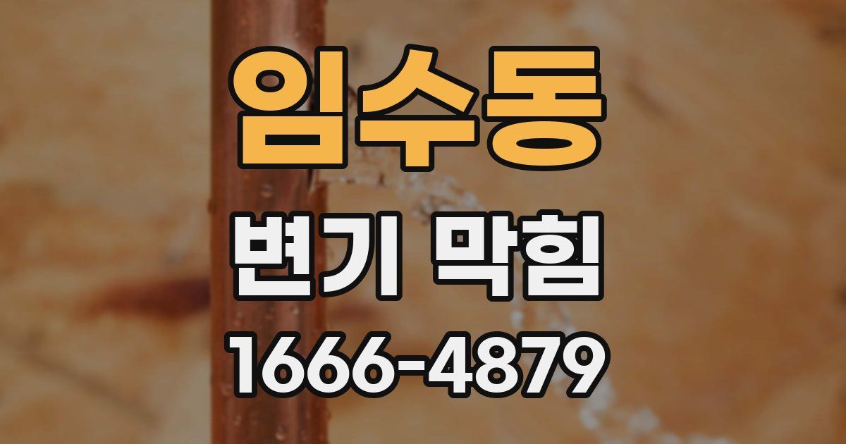 임수동 변기 막힘
