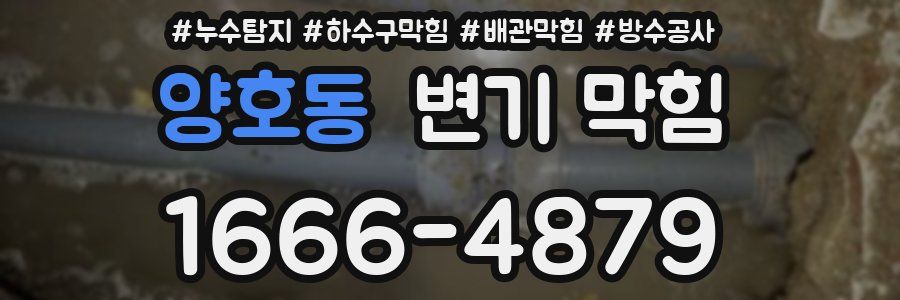 양호동 변기 막힘