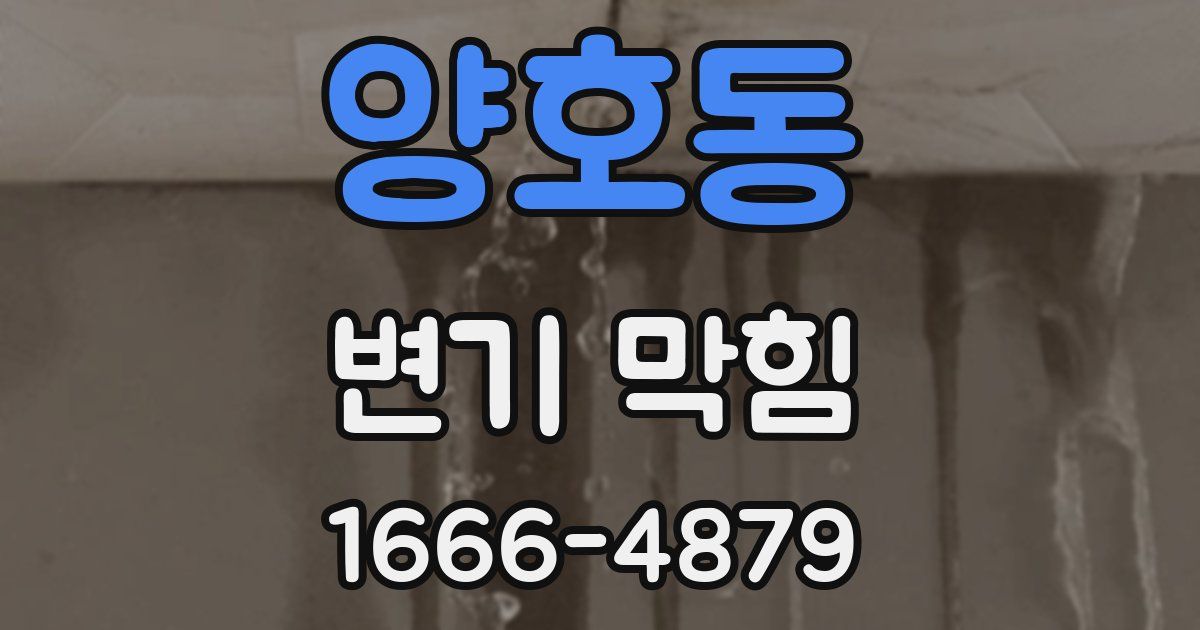 양호동 변기 막힘